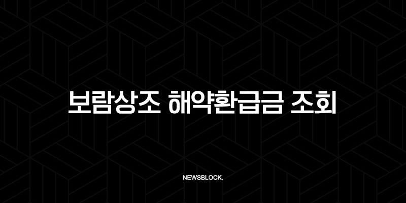 보람상조 해약환급금 조회 및 신청방법 완벽정리 (2025년 최신) 9