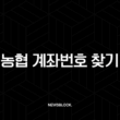 농협 계좌번호 찾기, 스마트폰으로 1분 만에 조회하는 5가지 방법 (NH뱅킹, 올원뱅크) 13