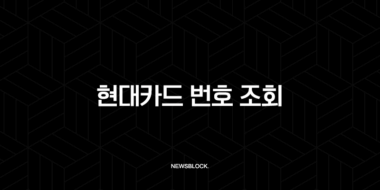 현대카드 번호 조회, 실물 카드 없을 때 유효기간 및 CVC 확인 방법 총정리 25