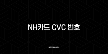 NH카드 CVC 번호 완벽 가이드 | CVV 확인 및 오류 해결 방법 총정리 37