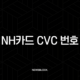 NH카드 CVC 번호 완벽 가이드 | CVV 확인 및 오류 해결 방법 총정리 99