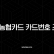 NH농협카드 카드번호 조회, 분실했을 때 유효기간 CVC 확인 방법 총정리 15