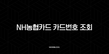 NH농협카드 카드번호 조회, 분실했을 때 유효기간 CVC 확인 방법 총정리 38
