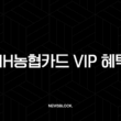 2025년 NH농협카드 VIP 혜택, 등급 조건 및 확인 방법 총정리 15