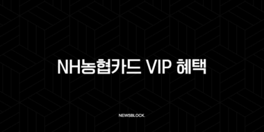 2025년 NH농협카드 VIP 혜택, 등급 조건 및 확인 방법 총정리 37