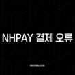 NHPay 결제 오류 완벽 해결 가이드 | 원인부터 해결 방법, 예방 팁까지 15