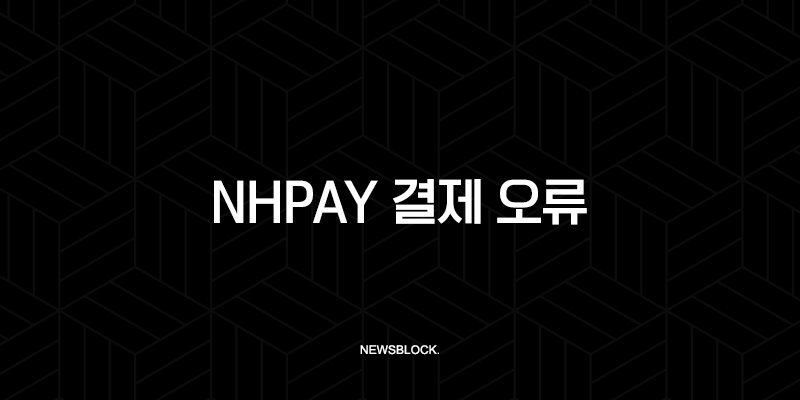 NHPay 결제 오류 완벽 해결 가이드 | 원인부터 해결 방법, 예방 팁까지 9