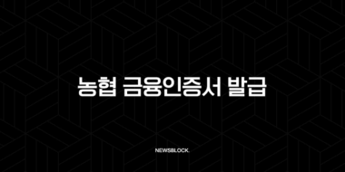농협 금융인증서 발급, 모바일로 5분 만에 끝내는 초간단 방법 (재발급 PC 총정리) 33