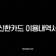 신한카드 이용내역서 발급 및 활용법 완벽 가이드 (소득공제, 증빙) 13