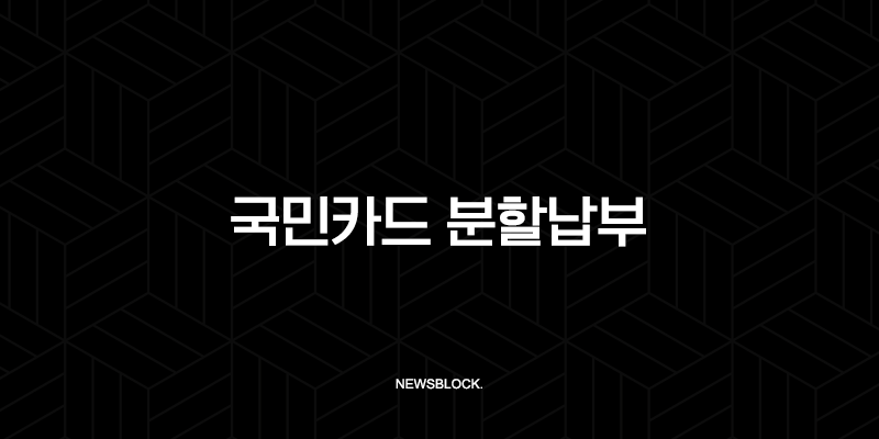 국민카드 분할납부 신청 방법 수수료 기간 및 주의사항 완벽 정리 9