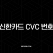신한카드 CVC 번호 조회, 실물 카드 없을 때 앱으로 확인하는 방법 5