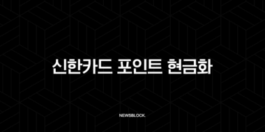신한카드 포인트 현금화, 잠자는 내 돈 찾는 가장 쉬운 방법 (SOL페이, 홈페이지) 53