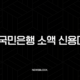 KB국민은행 소액 신용대출 연체, 소액이라 괜찮을까요? 신용등급 하락의 지름길 17