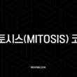 미토시스(Mitosis) 코인, 바이낸스 상장 후 놀라운 잠재력? 크로스체인 유동성의 새로운 미래 4 미토시스(Mitosis) 코인, 바이낸스 상장 후 놀라운 잠재력? 크로스체인 유동성의 새로운 미래 3