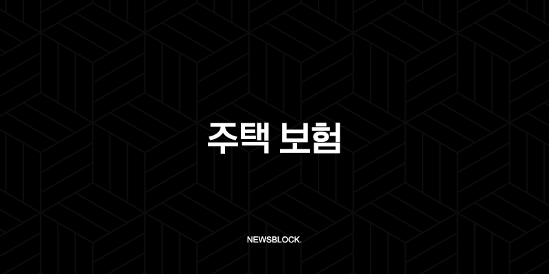 주택 보험(+ 2025년 주택 보험 완벽 가이드 : 종류, 추천, 가격 비교, 누수, 공사, 미국 주택 보험) 9