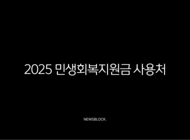 2025 민생회복지원금 사용처 완벽 가이드 (다이소, 스타벅스, 배달앱) 15