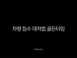 차량 침수 대처법 골든타임, 시동 걸지 말고 이렇게 행동하세요 (보험 처리, 확인 방법) 39
