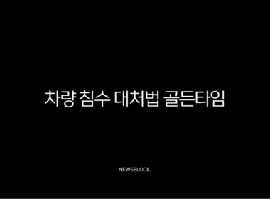 차량 침수 대처법 골든타임, 시동 걸지 말고 이렇게 행동하세요 (보험 처리, 확인 방법) 9