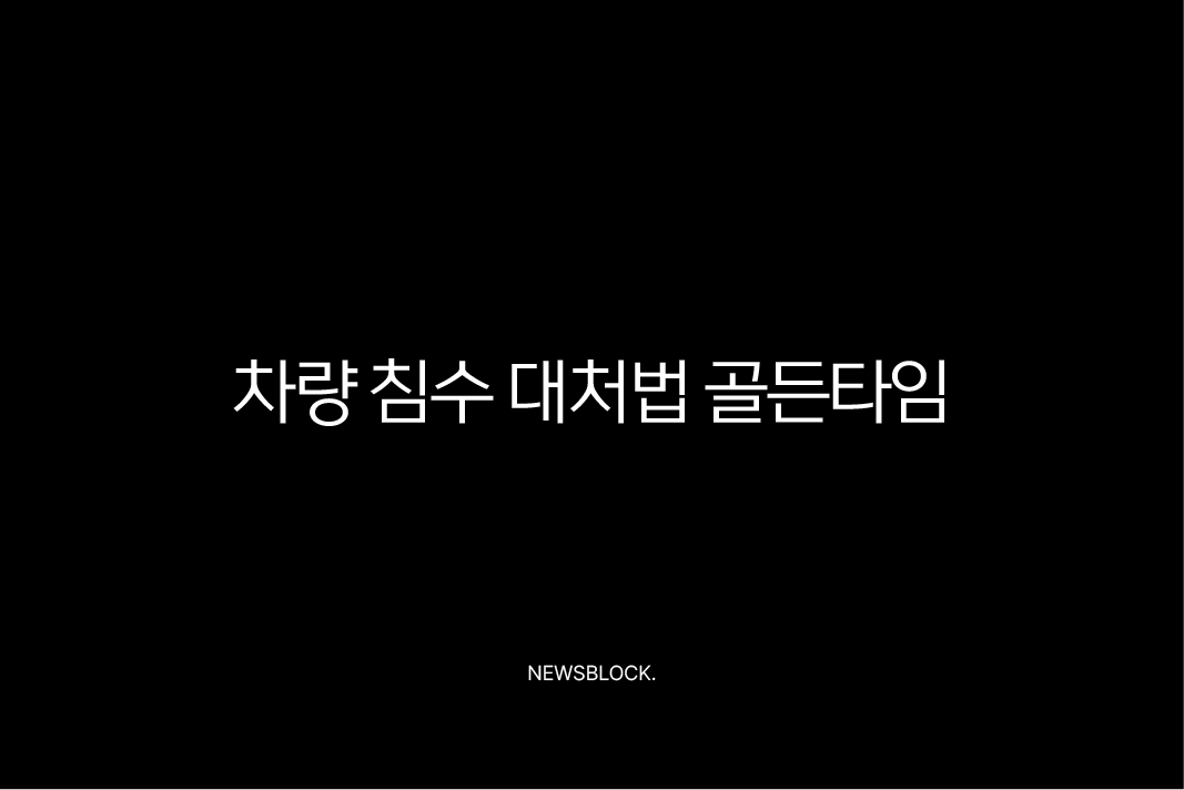 차량 침수 대처법 골든타임, 시동 걸지 말고 이렇게 행동하세요 (보험 처리, 확인 방법) 1
