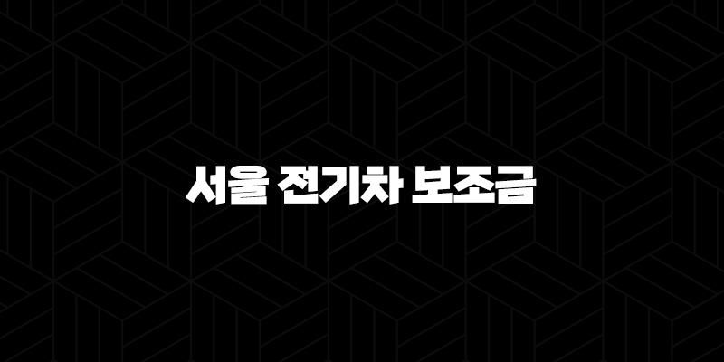 서울 전기차 보조금 2025년 하반기 신청 방법 및 확대 혜택 총정리 10 서울 전기차 보조금 2025년 하반기 신청 방법 및 확대 혜택 총정리 9