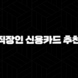 2025 직장인 신용카드 추천 TOP 5, 혜택 총정리 (교통비, 점심값, 통신비 할인) 13