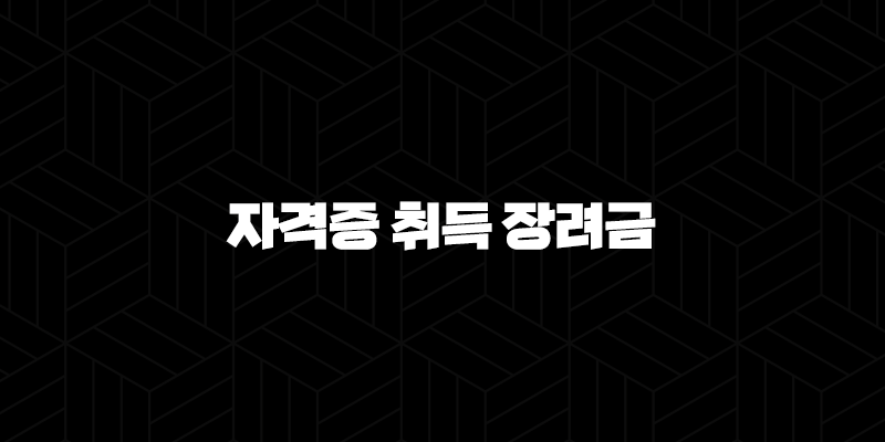 자격증 취득 장려금 2025년 신청 방법, 지자체 및 국비지원 총정리 10 자격증 취득 장려금 2025년 신청 방법, 지자체 및 국비지원 총정리 9