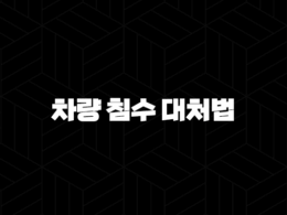 차량 침수 대처법 골든타임, 시동 걸지 말고 이렇게 행동하세요 (보험 처리, 확인 방법) 27