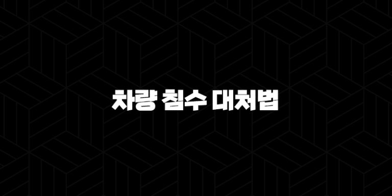 차량 침수 대처법 골든타임, 시동 걸지 말고 이렇게 행동하세요 (보험 처리, 확인 방법) 41
