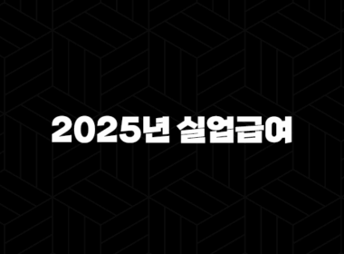 2025년 실업급여 총정리, 수급자격부터 신청방법 개정안까지 완벽 가이드 13