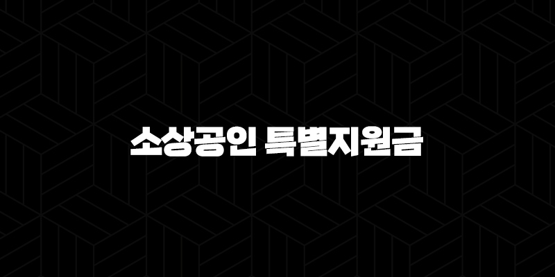 소상공인 특별지원금 50만원 신청 방법 및 자격 총정리 (2025년) 10 소상공인 특별지원금 50만원 신청 방법 및 자격 총정리 (2025년) 9