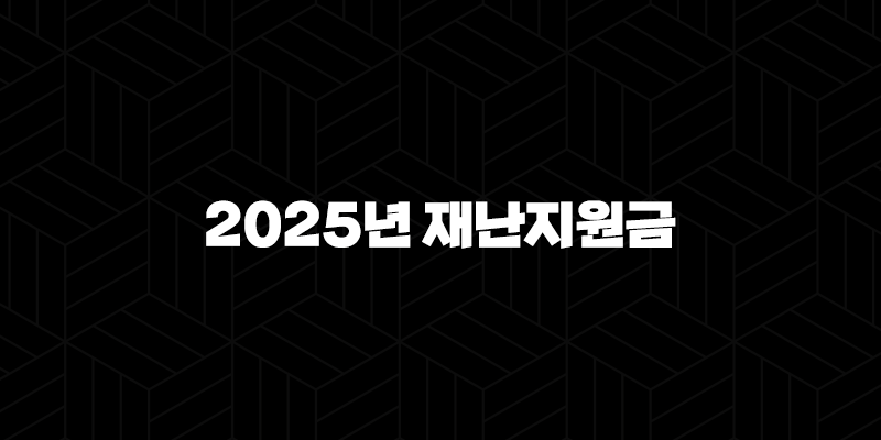 2025년 재난지원금 25만원 신청 총정리 민생회복 소비쿠폰 가이드 10 2025년 재난지원금 25만원 신청 총정리 민생회복 소비쿠폰 가이드 9