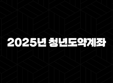 2025년 청년도약계좌 완벽 가이드, 조건부터 혜택까지 모르면 손해! 25