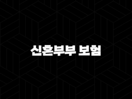 신혼부부 보험, 새 출발을 위한 필수 재무 설계 가이드 25