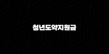 청년도약지원금 완벽 정리 2025년 신청 자격부터 방법까지 29