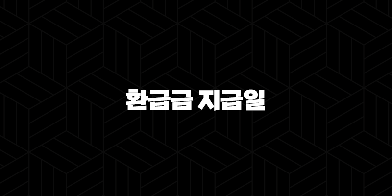 환급금 지급일 완벽 정리 종합소득세 연말정산 서둘러 확인하세요! 10 환급금 지급일 완벽 정리 종합소득세 연말정산 서둘러 확인하세요! 9