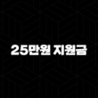 25만원 지원금 민생회복지원금 최신 정보와 지급 대상 알아보기 13
