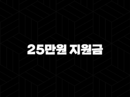 25만원 지원금 민생회복지원금 최신 정보와 지급 대상 알아보기 49