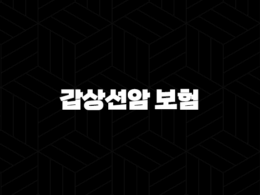 갑상선암 보험 가입, 보장 내용과 유의사항 총정리 17