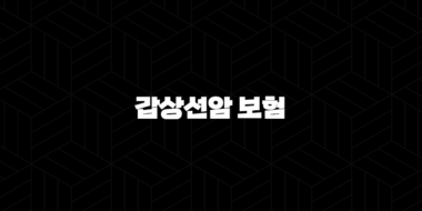 갑상선암 보험 가입, 보장 내용과 유의사항 총정리 33