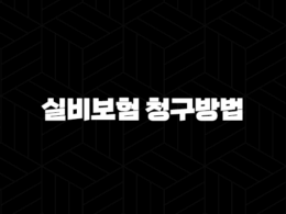 실비보험 청구방법 완벽 정리(+ 서류부터 기간까지 총정리) 31
