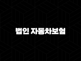 법인 자동차보험 가입 전 필수 확인사항 보험료 절약 팁 총정리 41