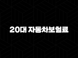 20대 자동차보험료(+ 첫차 구매 시 반드시 알아야 할 절약 꿀팁 총정리) 25