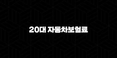 20대 자동차보험료(+ 첫차 구매 시 반드시 알아야 할 절약 꿀팁 총정리) 29