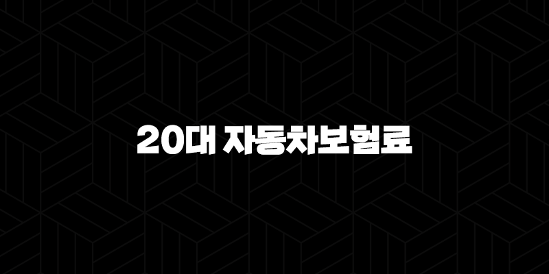 20대 자동차보험료(+ 첫차 구매 시 반드시 알아야 할 절약 꿀팁 총정리) 10 20대 자동차보험료(+ 첫차 구매 시 반드시 알아야 할 절약 꿀팁 총정리) 9
