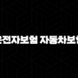 운전자보험 자동차보험 차이 완벽 정리, 이것만 알면 끝! 13