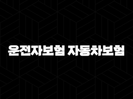 운전자보험 자동차보험 차이 완벽 정리, 이것만 알면 끝! 17