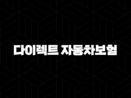 다이렉트 자동차보험 비교사이트 활용 꿀팁 및 추천 40