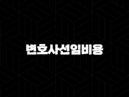 변호사선임비용 보장(+ 경찰조사 단계부터 든든하게) 33
