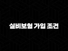 실비보험 가입 조건(+ 4세대 및 유병자 플랜 총정리) 33