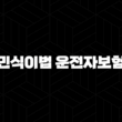 민식이법 운전자보험 필요성과 보장 내용 완벽 정리 15
